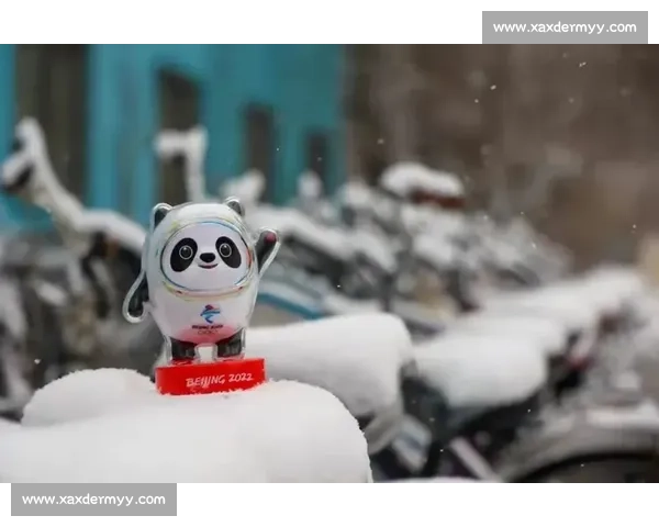 林孝埈找蒂娜米罗：冰墩墩有新伙伴了